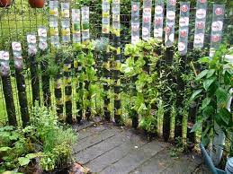Plastic bottles on walls follow this rare to find idea for growing small leafy vegetables and herbs. Build A Vertical Garden From Recycled Soda Bottles Diy Projects For Everyone