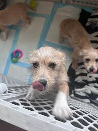 Momence,Illinois area