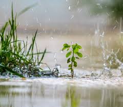Maybe you would like to learn more about one of these? How To Prevent Backyard Flooding Nationwide Restorations