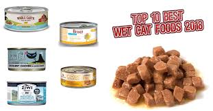 Top 10 Best Wet Cat Food Brands For 2021 The Cat Digest