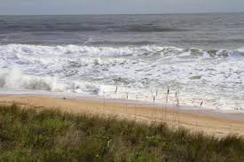 Check spelling or type a new query. 25 Best Florida State Parks