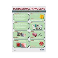 Image result for Bloodborne Pathogen Exposure