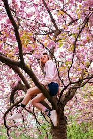7% coupon applied at checkout save 7% with coupon. Cherry Blossom Manymornings De