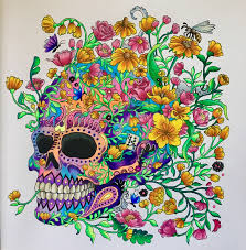 Imagimorphia Skull Kerby Rosanes Coloring Book Art Animorphia Coloring Animorphia Coloring Book