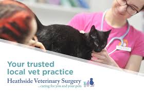 In this video, i share a variety of unique and reliable tips that will ensure that your indoor cat remains happy and healthy, and many of these tips can also be applied to outdoor cats. Join The Heathside Vets Healthy Pet Club For Amazing Benefits