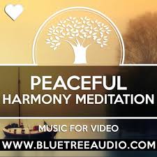 Check spelling or type a new query. Stream Peaceful Harmony Royalty Free Background Music For Youtube Videos Vlog Meditation Relax Yoga By Background Music For Videos Listen Online For Free On Soundcloud
