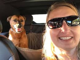 Meet my dog profile and habits