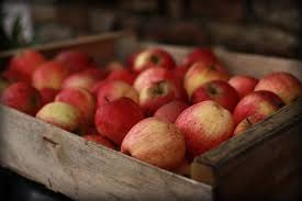 A Well Traveled Woman Best Food On Earth Food Autumn Flavors People Food