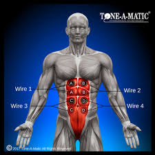 electrode placement for electric stimulation charts