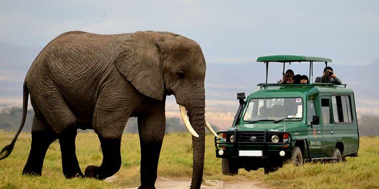 An extended green safari Land Cruiser vehicle on a game drive in Akagera National Park next to a massive African elephant