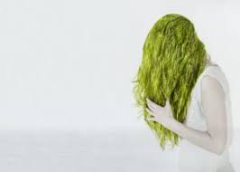 The Science Of How Swimmer S Hair Works Swimmers Hair Green Hair Blonde Hair Turned Green