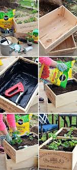 Wine Crate Garden Small Space Gardening Garden Boxes Diy Wine Crate