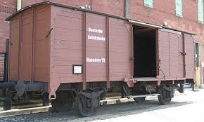 Image result for cattle cars