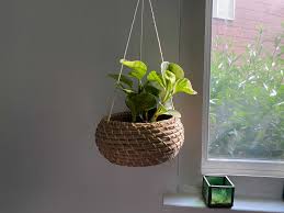 Amara.com has been visited by 10k+ users in the past month Diy Planters For Houseplants Best Homemade Planters