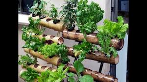 Diy Vertical Garden Design Ideas Vertical Garden Plants Vertical Garden Diy Vertical Vegetable Gardens