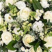 The Best Flowers Unlimited Brighton Hove And Description Blossoms Florist Gerbera Bouquet Flowers Delivered