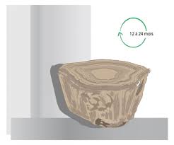 Exceptionnelle table basse souche d'arbre. Comment Fabriquer Une Table Basse Avec Un Tronc D Arbre Diy