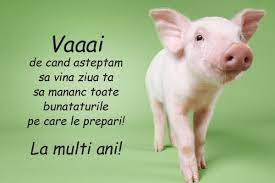 Esti cel mai de gasca si mai amuzant! á¦urari De La Multi Aniá¦ Photos Facebook