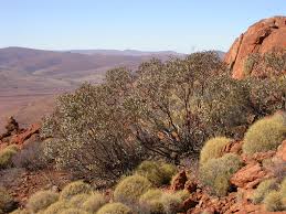 Currency Creek Arboretum