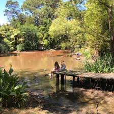 Nature & parks in auckland central. Help With House Care And In Our Home On A Beautiful Lifestyle Property In Auckland New Zealand