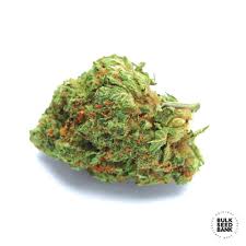 We would like to show you a description here but the site won't allow us. Auto Original Orange Bud Bulk Seed Bank