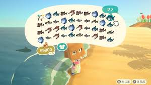 Check out this animal crossing: Acnh Shark Island Guide How To Catch Sharks Animal Crossing Gamewith