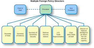 Institutional Relations In Foreign Policy American Government