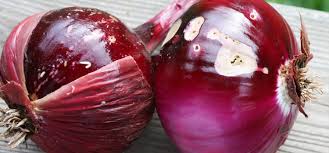 We did not find results for: Onion Root Maggot Guide