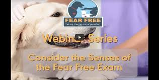 Accountability and follow through will also be discussed. Webinars Fear Free Pets
