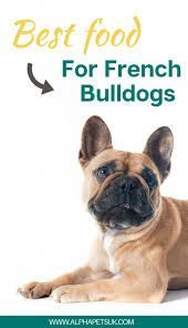 Allergies are a common problem for french bulldogs, with one of the highest genetic and environmental predispositions to developing canine skin allergies can often be managed with proper hygiene. The Best Food For My French Bulldog Puppy Best Dog Food For Frenchies With Sensitive Stomachs Alpha Pets Uk