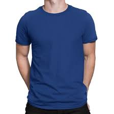 Download Basics Silly Punter Mens Plain T Shirts Mens Tshirts T Shirt