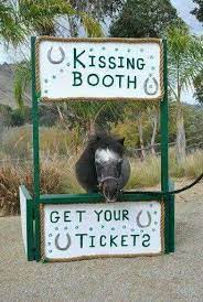 Happy Valentine S Day Funny Horses Horse Quotes Farm Animal Videos