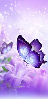 See more ideas about kitchen design, small kitchen, kitchen design small. 150 Butterfly Ideas Butterfly Beautiful Butterflies Butterfly Wallpaper