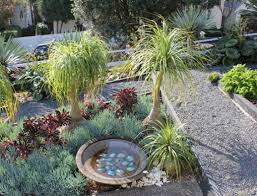 Trish Bartleet The Garden Design Society Of New Zealand Garden Design Diy Garden Plants