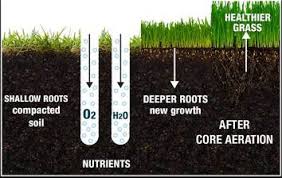 When soil becomes compacted, even slightly. Lawn Aeration Service Phoenix Az Get A Free Estimate