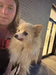 What dog-friendly places are in Fishtown for socializing a new puppy?