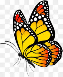 We did not find results for: Butterfly Drawing Png White Butterfly Drawing Butterfly Drawing Cartoon Butterfly Drawings Black And White Simple Butterfly Drawing Butterfly Drawings In Color Small Butterfly Drawings Cartoon Butterfly Drawing Easy Basic Butterfly Drawing Butterfly