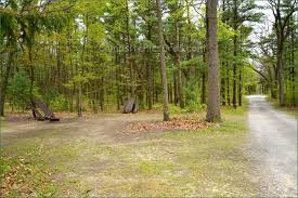 The normandale fish hatchery is in the park, and is accessible via one of the hiking trails. Turkey Point Provincial Park Camping In Ontario Parks Ontario Parks Ontario Park