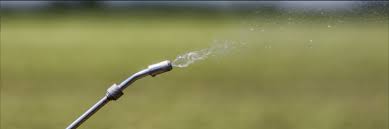 Msma Alternatives For Residential Lawn Maintenance Solutions Pest Lawn
