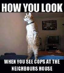 Pin Auf All Types Of Funny Pictures Funny Memes Funny Jokes