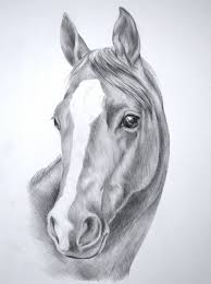 We did not find results for: Disegni A Matita Semplici Proposta Muso Cavallo Striscia Bianca Orecchie Tese Sfondo Ombreggiato Disegni Di Cavalli Disegno Di Cavallo Arte Animale
