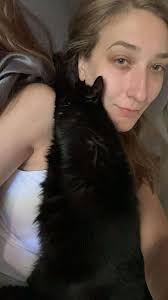 Boston terrier escapes and fights feral cat in woods