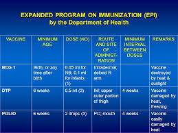 immunization ppt video online download