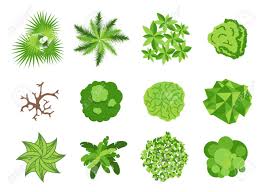 Landscaping Garden Design Elements Landscaping Plants Landscaping Trees Vector Icons Isolated Landscaping Garden Design Garden Design Layout Design Elements