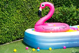 We did not find results for: Inflatable Pool With Flamingo Balloon In Garden Stock Photo Picture And Royalty Free Image Image 69238443