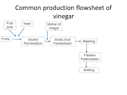 Wine Production Ppt Download