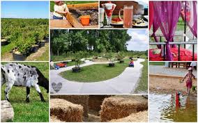 10 Top Outdoor Aktivitaten Mit Kindern In Munchen Und Bayern Outdoor Aktivitaten Outdoor Munchen