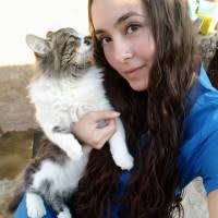 90+ "Yvette" profiles