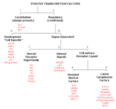 D8 Classification Of Transcription Factors Biology Libretexts