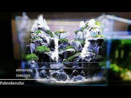 Membuat Paludarium Dengan 2 Airterjun Youtube Kolam Taman Taman Jepang Vivarium